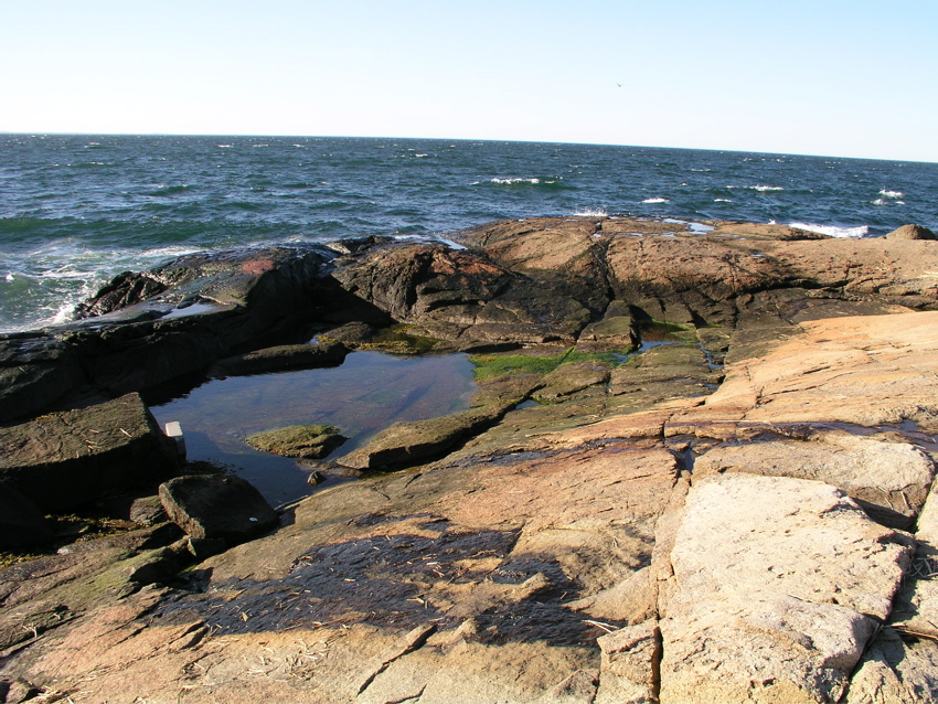 P1010054.JPG