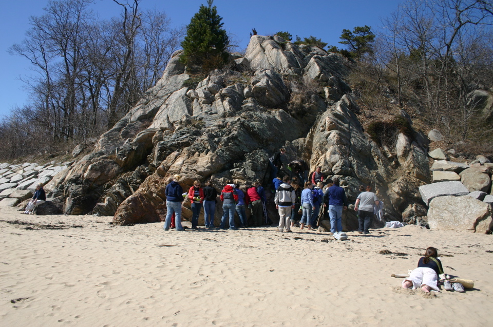 IMG_8784.JPG