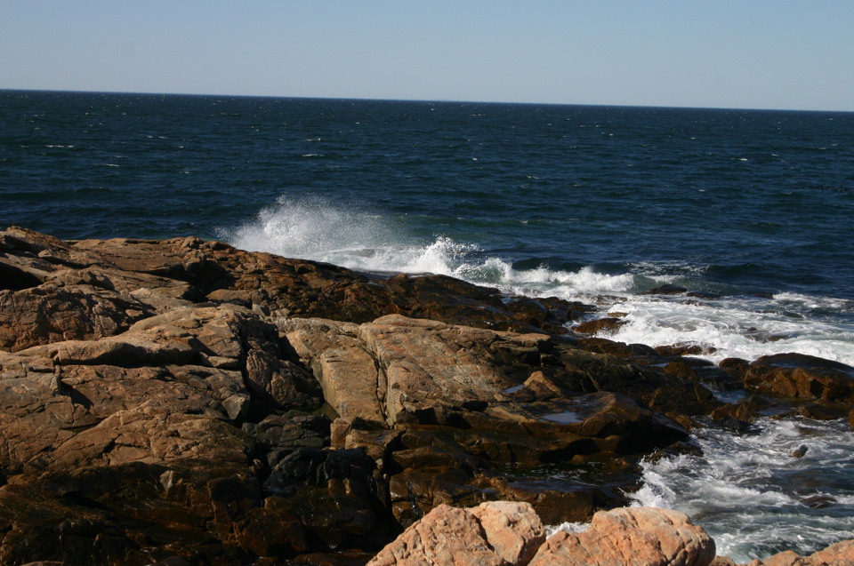 IMG_8799.JPG