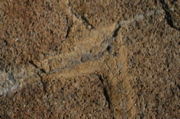 IMG_8833.JPG