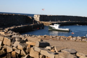 IMG_8834.JPG