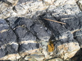 P1010031.JPG