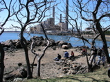 P1010034.JPG