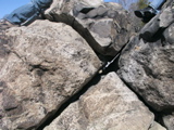 P1010038.JPG