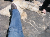 P1010039.JPG