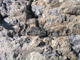 P1010043.JPG