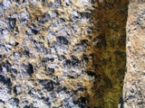 P1010044.JPG