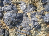 P1010047.JPG