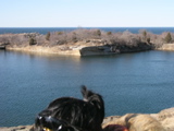 P1010048.JPG