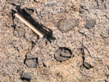 P1010053.JPG