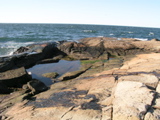 P1010054.JPG