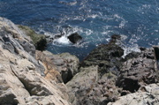 IMG_8728.JPG