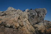 IMG_8732.JPG