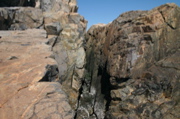 IMG_8734.JPG