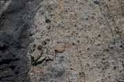 IMG_8739.JPG