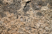 IMG_8757.JPG