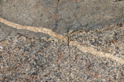 IMG_8758.JPG