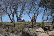 IMG_8768.JPG