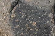 IMG_8787.JPG