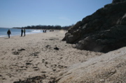 IMG_8796.JPG