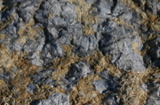 IMG_8798.JPG