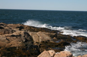 IMG_8799.JPG