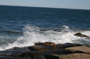 IMG_8800.JPG