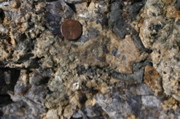 IMG_8802.JPG