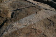 IMG_8830.JPG