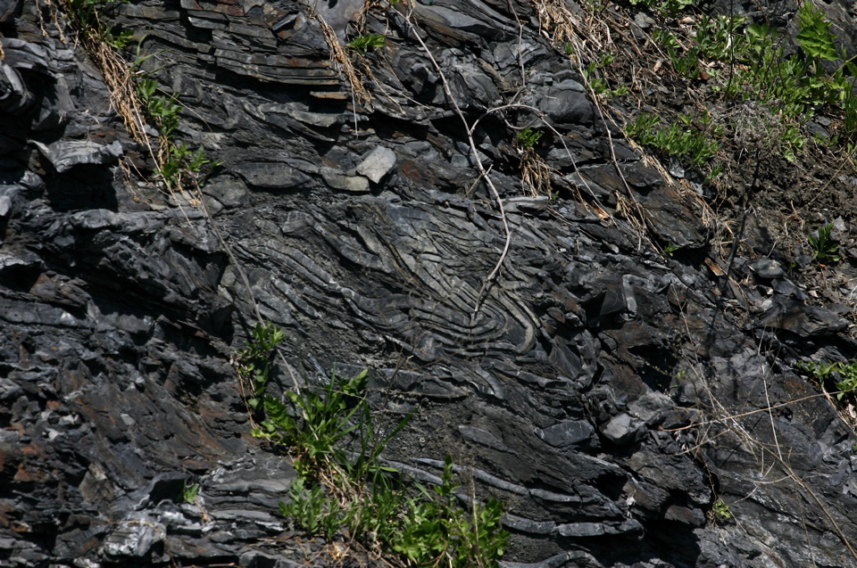 IMG_8899.JPG