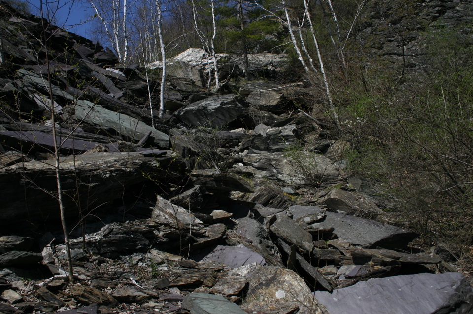IMG_8915.JPG