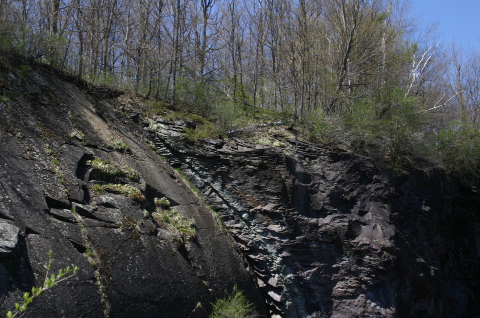 IMG_8920.JPG