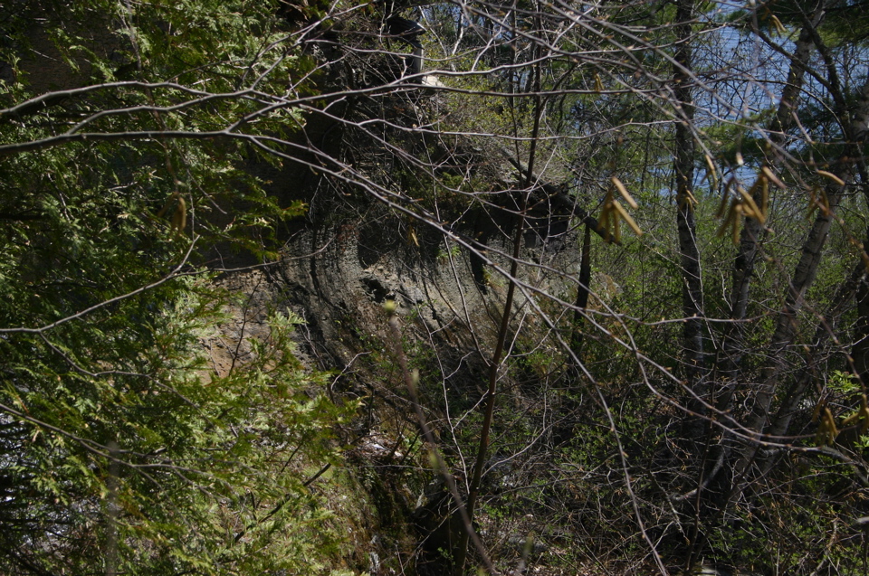 IMG_8955.JPG
