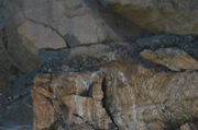 IMG_8873.JPG