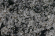 IMG_8860.JPG
