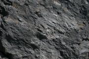 IMG_8892.JPG