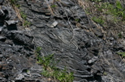IMG_8899.JPG