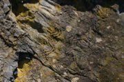 IMG_8906.JPG