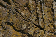 IMG_8908.JPG