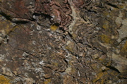 IMG_8913.JPG