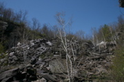 IMG_8914.JPG