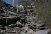 IMG_8915.JPG