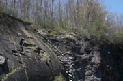 IMG_8920.JPG