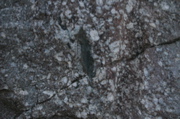 IMG_8863.JPG