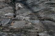 IMG_8952.JPG