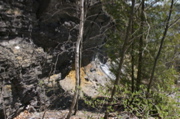 IMG_8953.JPG