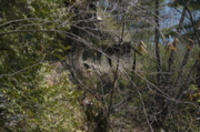 IMG_8955.JPG
