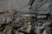 IMG_8866.JPG