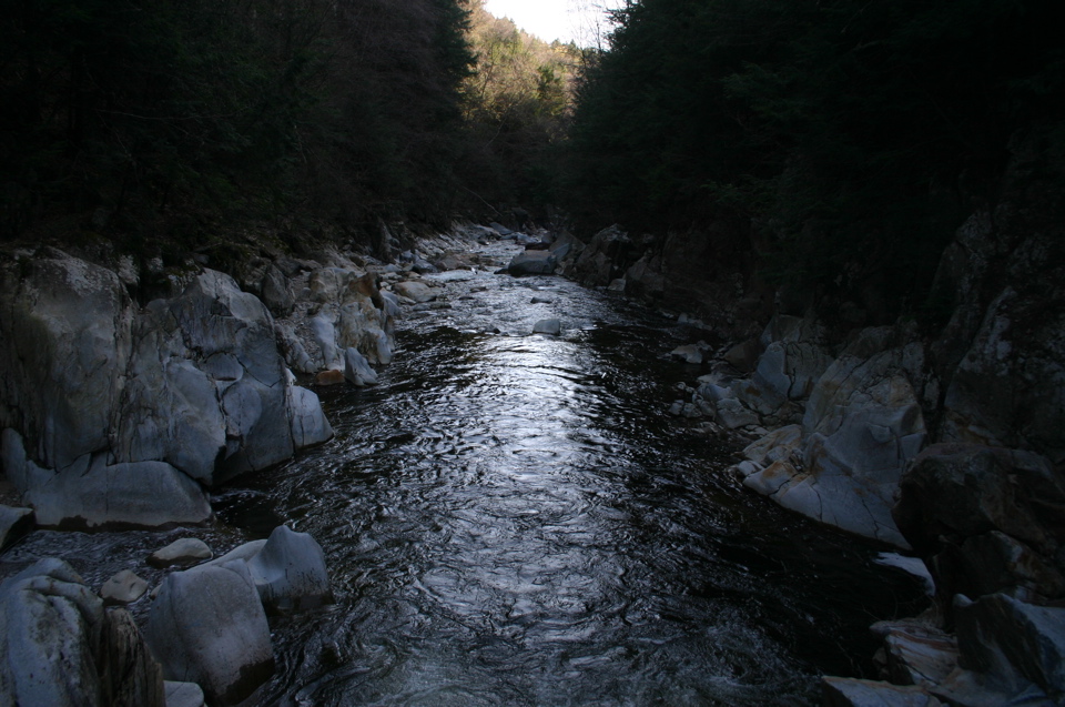 IMG_8974.JPG