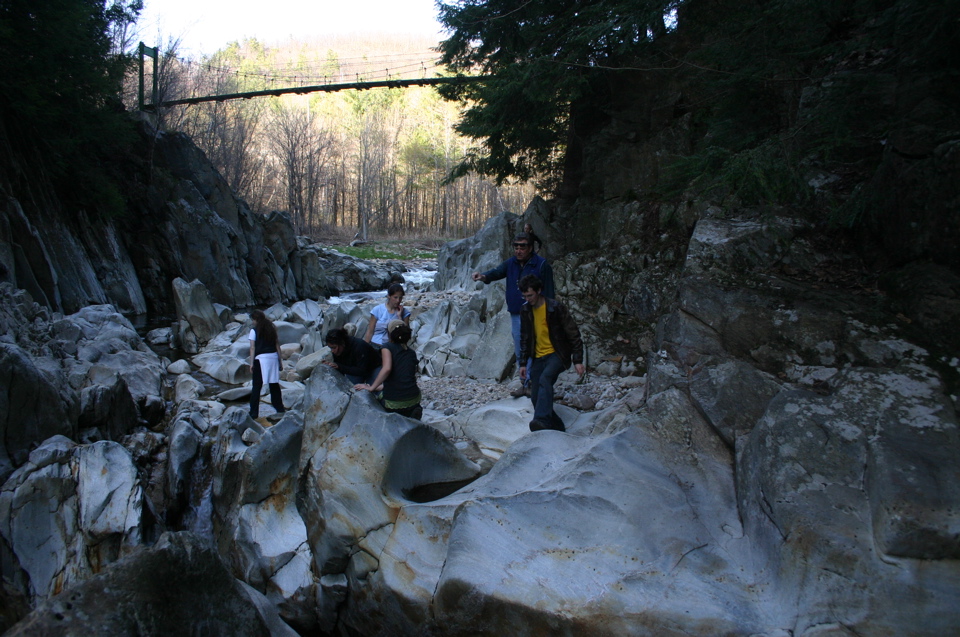IMG_8983.JPG